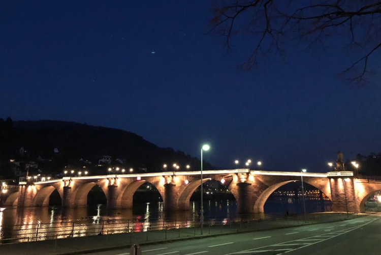 Die Alte Brücke. Bild: A. Köster, ZC Heidelberg